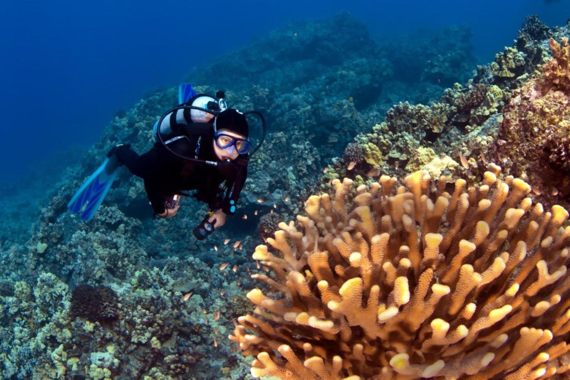 Honua Kai 322 Villa Lahaina Bagian luar foto